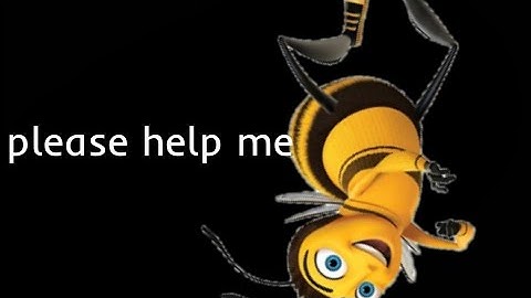 Reading the Entire Bee Movie Script (1k subscribers special)