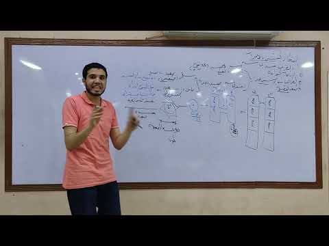 التكاثر الجنسي الاقتران البلازموديوم