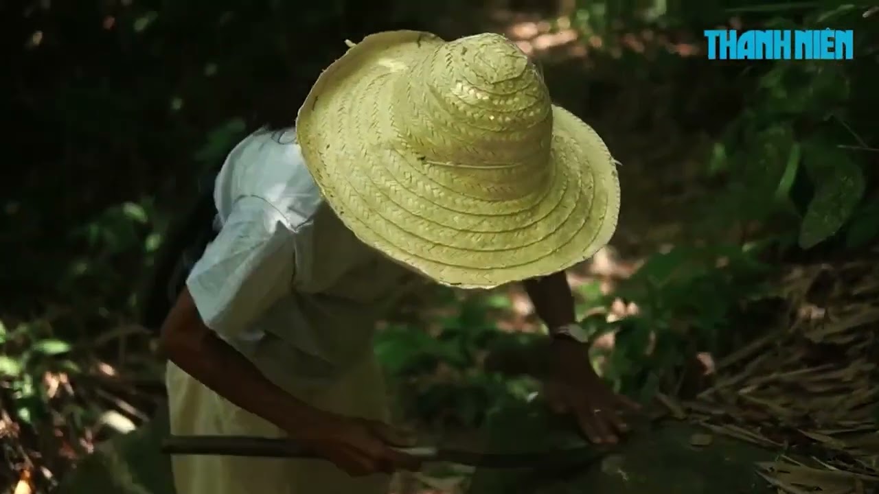 Đám mình vào thiên nhiên Làng Nhỏ - Hồ Láng Nhớt
