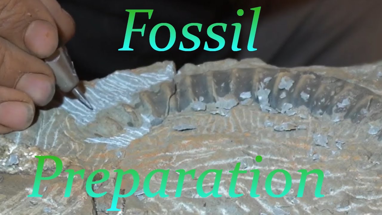 What's hidden in this large beach pebble Part 2