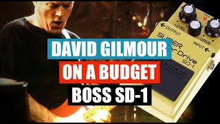 How to sound like David Gilmour on a budget - Boss SD-1