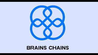 Презентация проекта BRAINS CHAINS