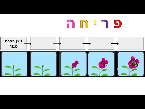 מחזור חיי הצמח