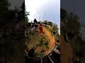 insta360 camera funny video 🤣 #insta360 #funny #shorts #vlog #video
