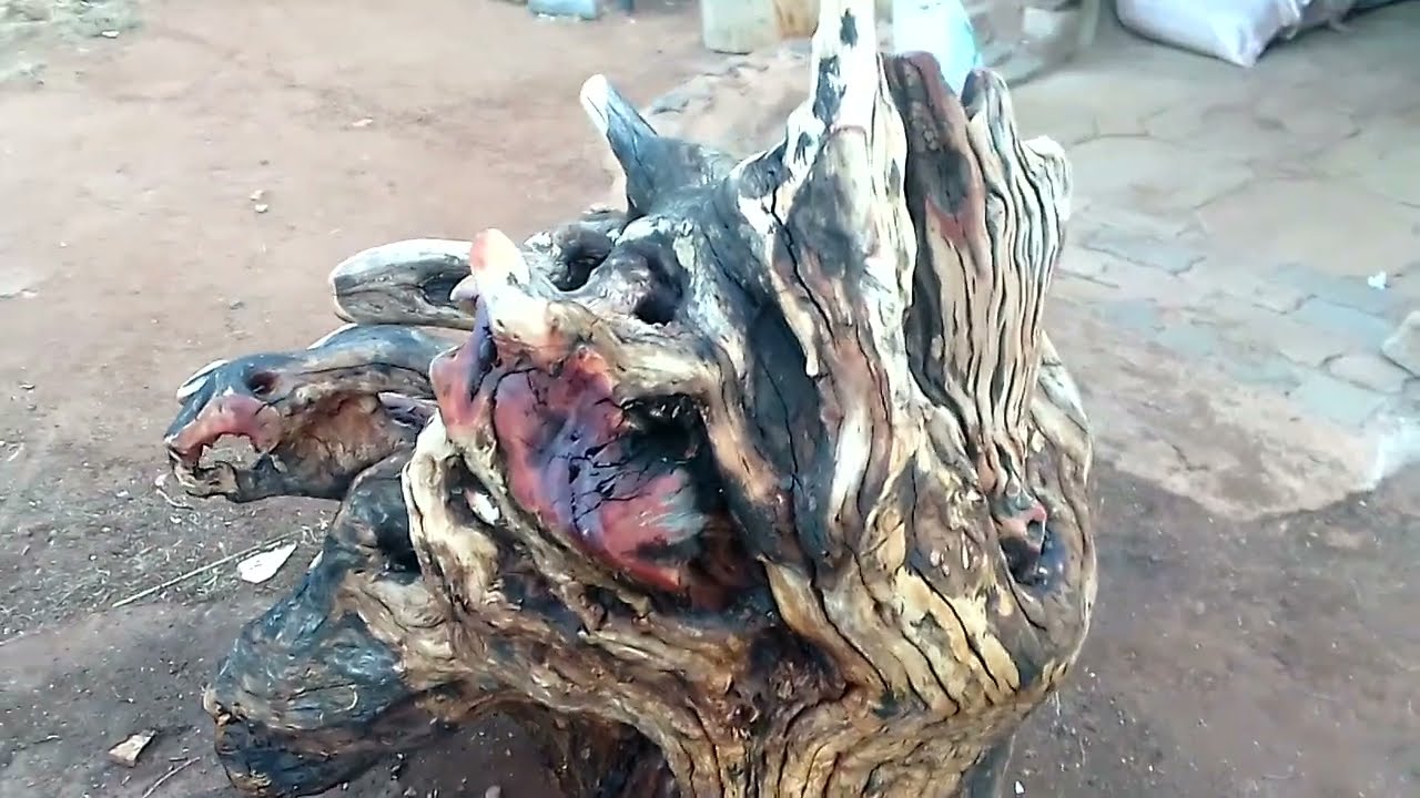 Unique wooden furniture, root system table stands. Art with purpose