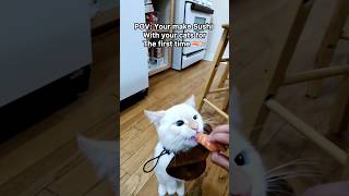 Now we know baby bing is a big fan of salmon lol🤣 he went crazy! #pov #cat #catmom