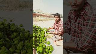 Sukh Mein Kate ya Dukh Mein Basar Ho #short #video #youtubeshorts #viral