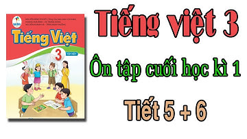 Tiếng việt lớp 3 cánh diều | Bài 10 ôn tập cuối học kì 1| Tiết 5, 6 | Trang 126,127.