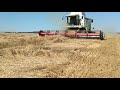 Збираємо полеглу пшеницю. CLAAS Lexion 480. Західний Буг 🌾🌾🌾 - підрозділ с. Гійче