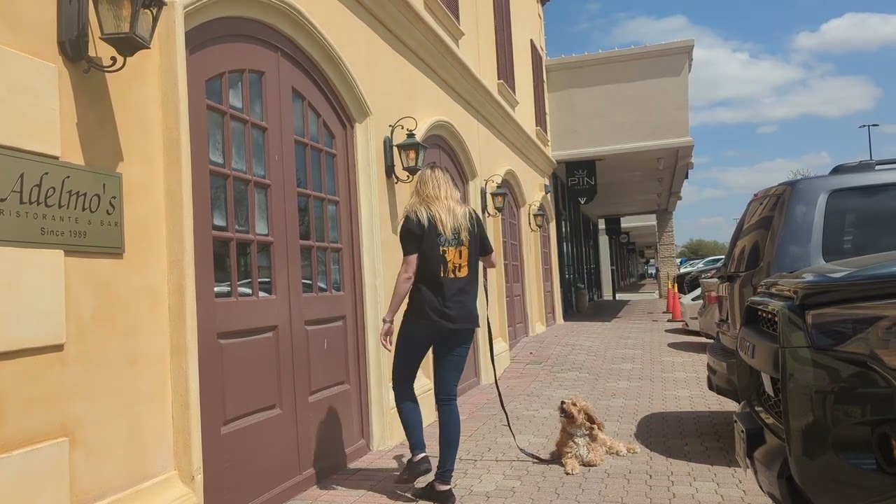 Dallas TX Dog Training with Suburban K9!