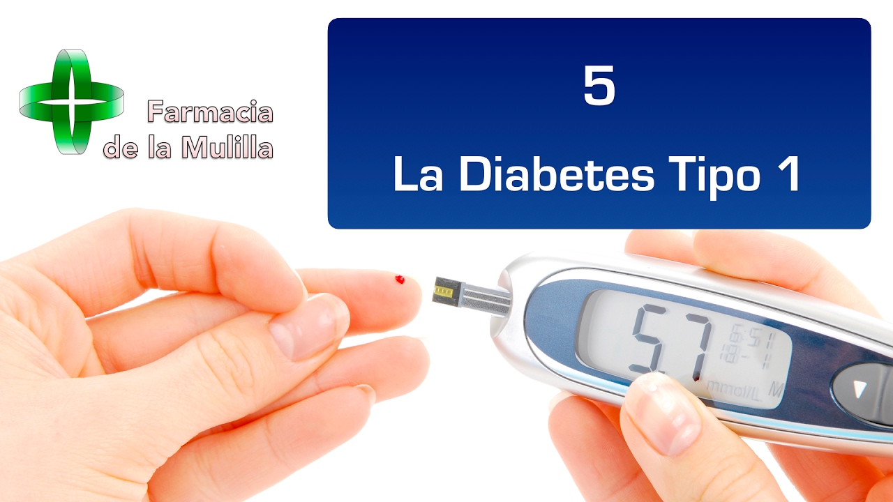 Alimentacion diabetes tipo 1