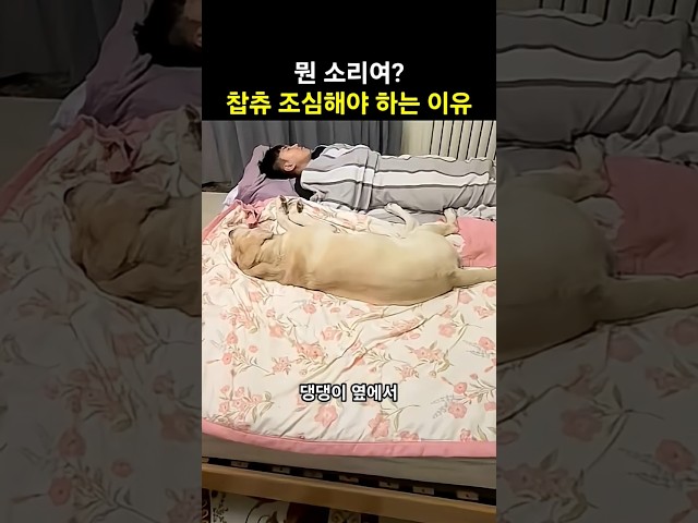 끝장을 보자.. 잠 잘때 조심해야 하는 이유