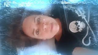Sea Shepherd! Defend, Conserve, Protect!