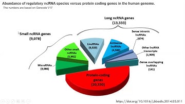 BTH403 Unit1 Lecture 3  Introduction o Transcriptomis & RNAomics