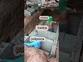 Pag Gawa Ng Septic Tank Arawan Versus Pakyawan Construction Carpenter Reels Shortvideo