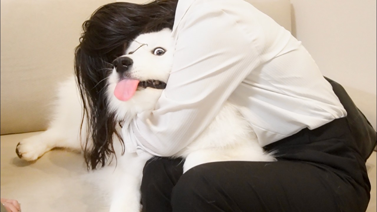 大好きな妹から強烈なハグをされ迷惑そうに目で助けを求める犬がおもしろすぎました…