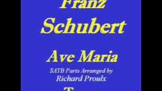 Tenor-Ave Maria-Schubert.wmv