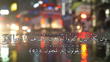 القارئ الاستاذ احمد أبو القاسمي 🌼