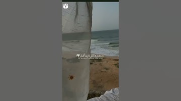 قالوا يا أبانا استغفر لنا ذنوبنا انا كنا خاطئين 🤍قناة نور على نور للقران الكريم