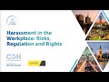 Harassment in the workplace risks regulation and rights