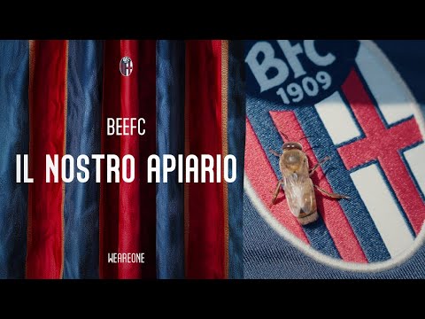 BeeFC | IL NUOVO APIARIO ROSSOBLÙ 🐝❤️💙