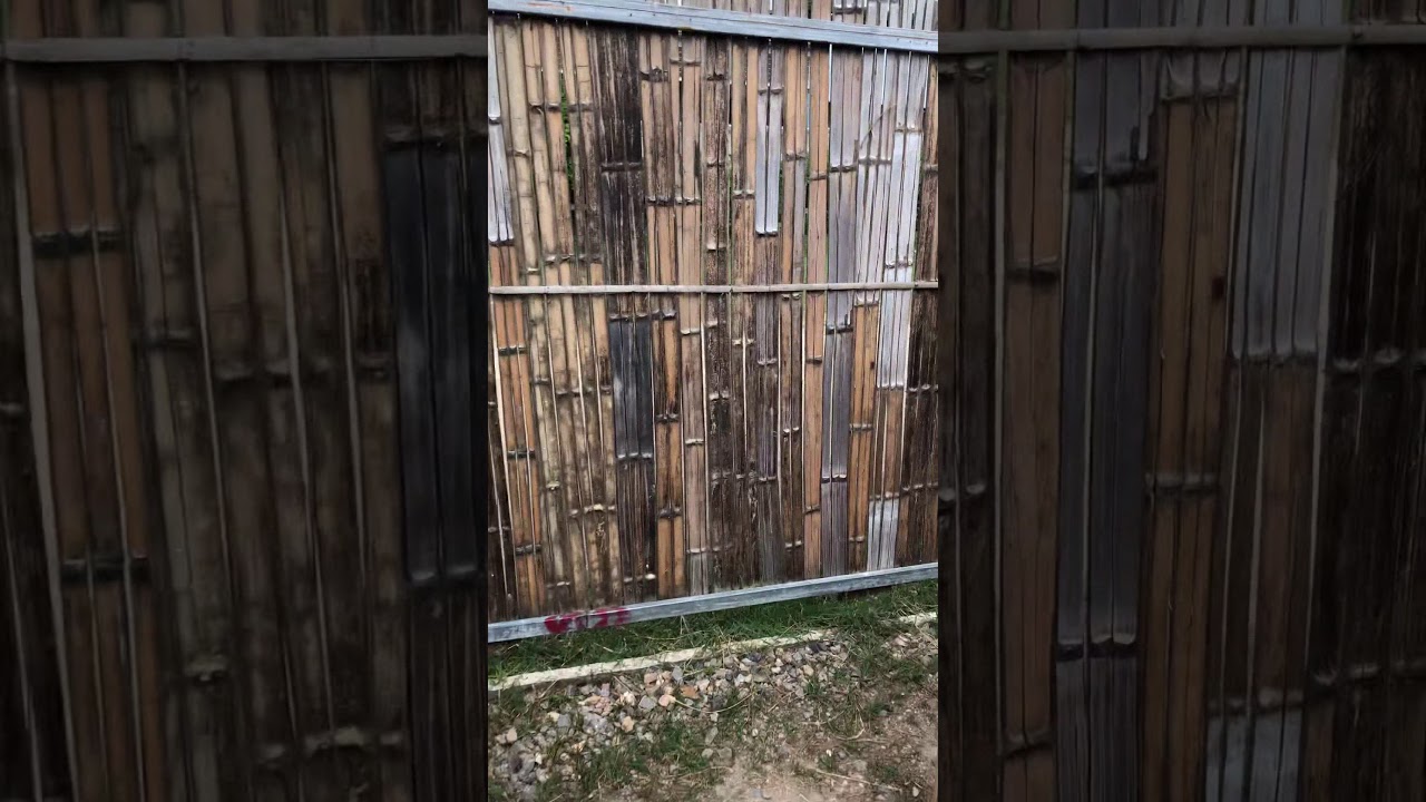 The Maze - YouTube
