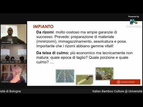 Cultura Italiana del Bambù. 24/09/2021, Università di Bologna
