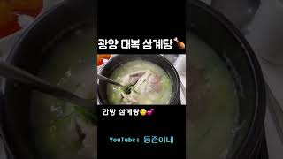 [둥준맛집] 삼계탕에 진심 “광양 대복 삼계탕” #shorts