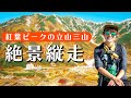 【今しかない！】秋色に染まる立山三山で楽しむ、絶景紅葉登山！室堂から浄土山、雄山、別山をぐるっと日帰りで一周してきました！