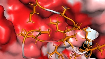 SecB proPhoA hydrophobic contacts