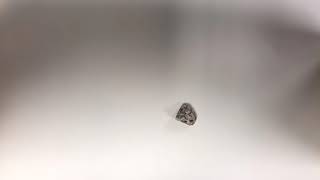 StopMotion Rock