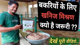 बकरियों के लिए खनिज मिश्रण का महत्व | Advantage of Mineral Mixture in Animal Feed | Goat Farming