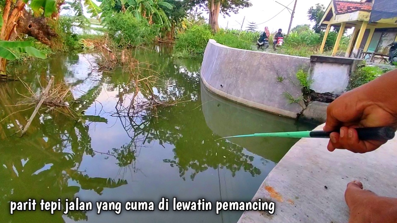 Enaknya tinggal di lamongan mau target ikan apa saja ada