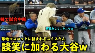 蜂で試合中断！敵地マスコットとスミスさんの談笑に加わる大谷翔平【現地映像】ドジャースvsダイヤモンドバックス第2戦