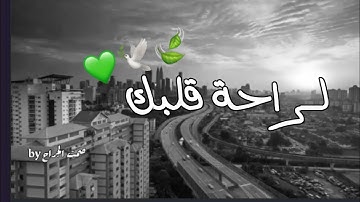 تلاوه هادئه حمزه بوديب 😔💛|| حالات واتس اب دينيه || تصاميم انستغرام دينيه || ستوريات قران كريم