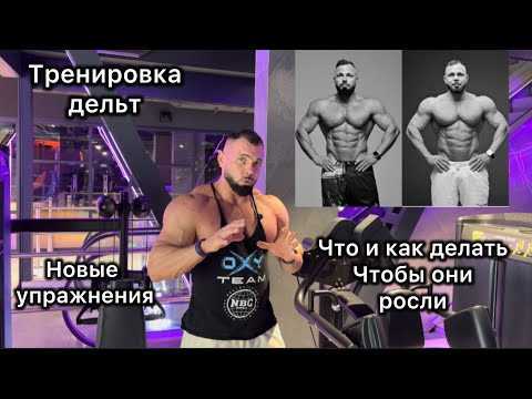 VLOG 1 /ТРЕНИРОВКА ДЕЛЬТ / КАК ИХ ТРЕНИРОВАТЬ / ФАЗА ВОССТАНОВЛЕНИЯ