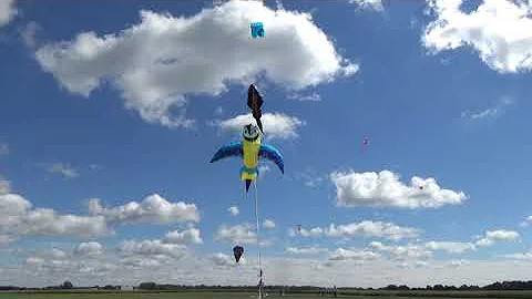 merritt beck kite fly 2021