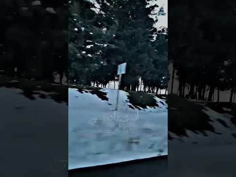 ستوريا حب صوت المطر على باب البيت صورتك في بالي انا حنيت اسف يا قلبي انا لي حبيت 