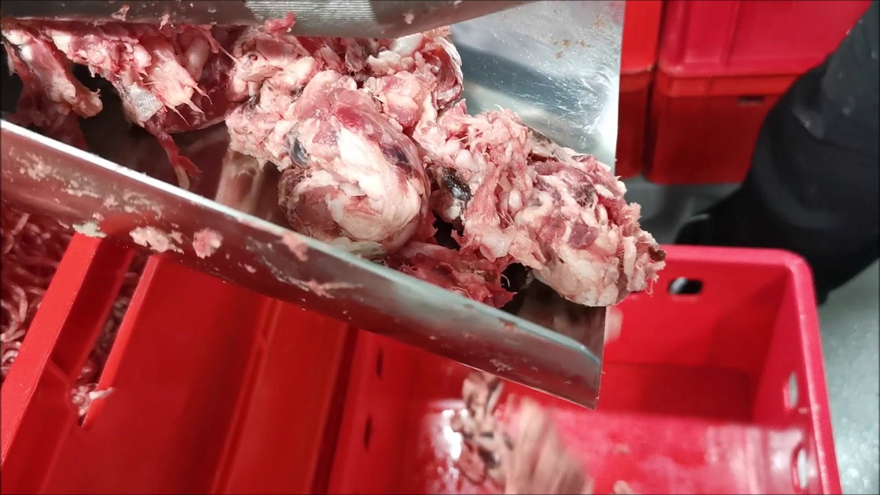 Chicken Bone And Meat Separator