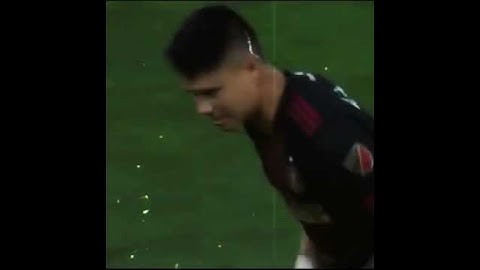 novo reforço do flamengo