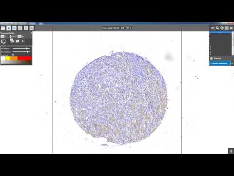 3DHISTECH - DensitoQuant