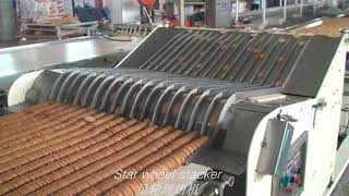 Biscuit stacker