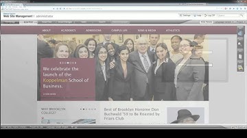 Website and CMS Overview - Browser Issues
