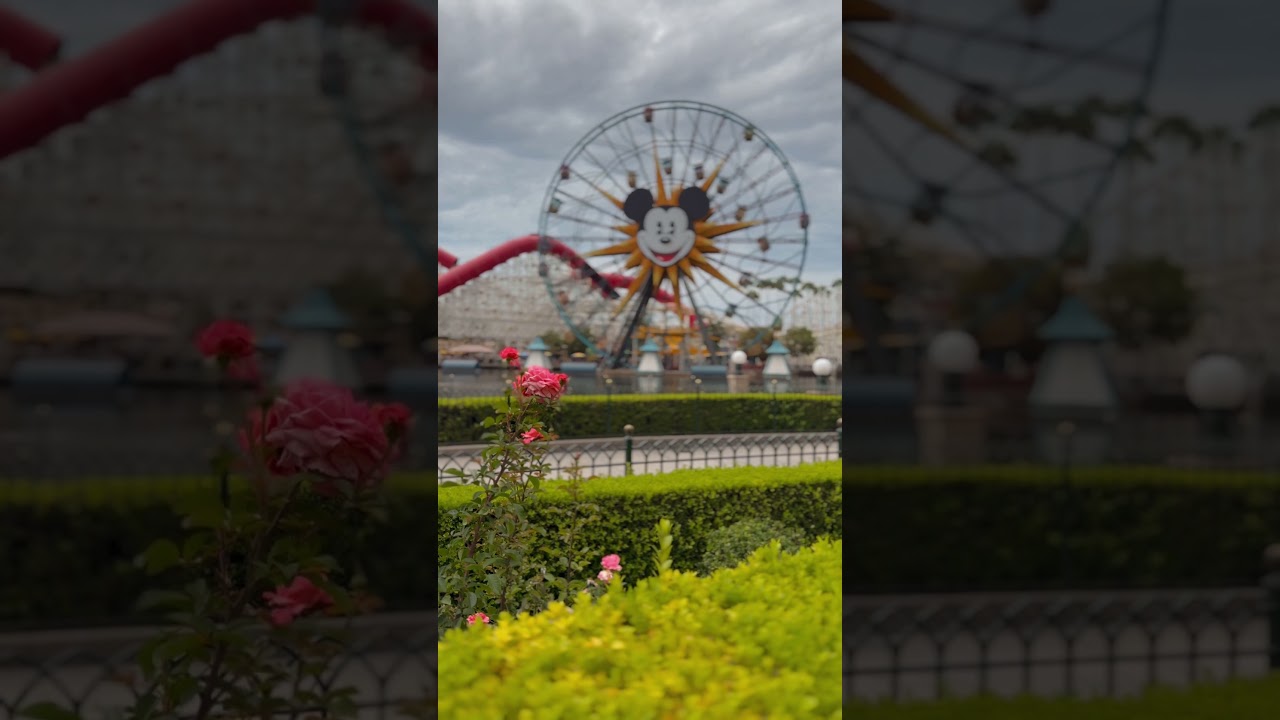 A lovely moment in Disney California Adventure!