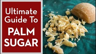 الدليل الشامل لـ PALM SUGAR - المطبخ التايلاندي الساخن