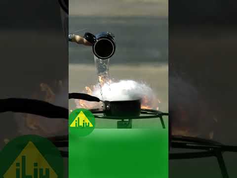 Video: Cách lấy dầu mầm lúa mì: 10 bước (có hình ảnh)