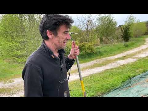 Cours n°4 :Binage et/ou sarclage : quand, comment, pourquoi ? hqdefault