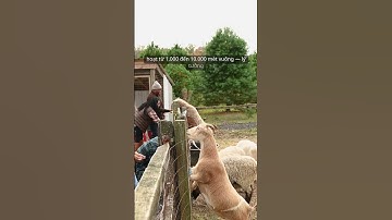 Sân bay Phan Thiết Thiện Nghiệp 2025, tiến độ mới & Cơ hội đầu tư BĐS