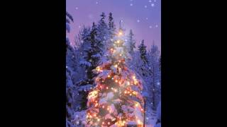 Christmas Snow Live Wallpaper for Android OS screenshot 1