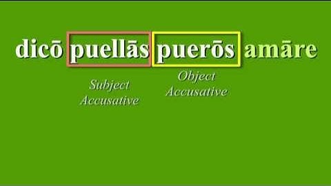 Infinitive Use Part II - Indirect Statements